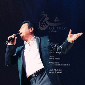 دل مابین